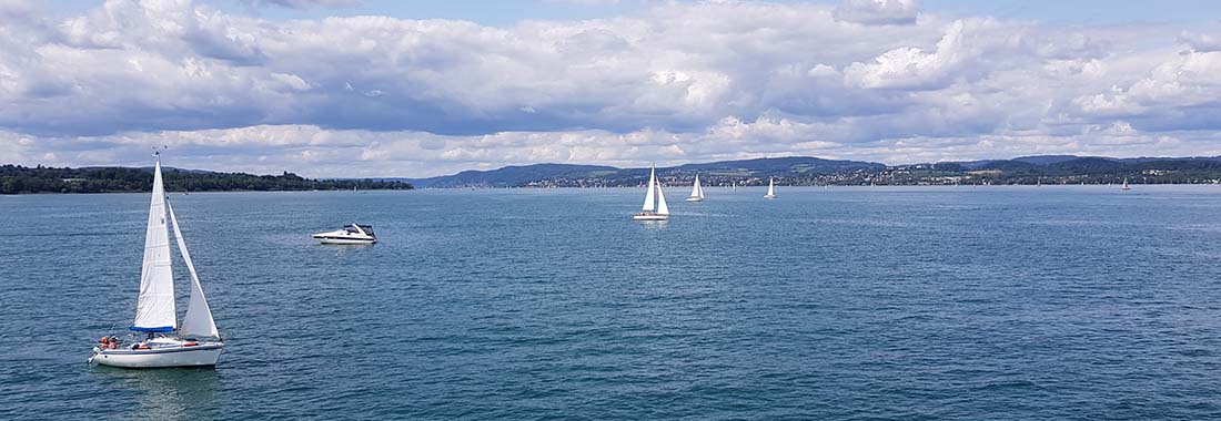 Bodensee www.die4hartwigs.de