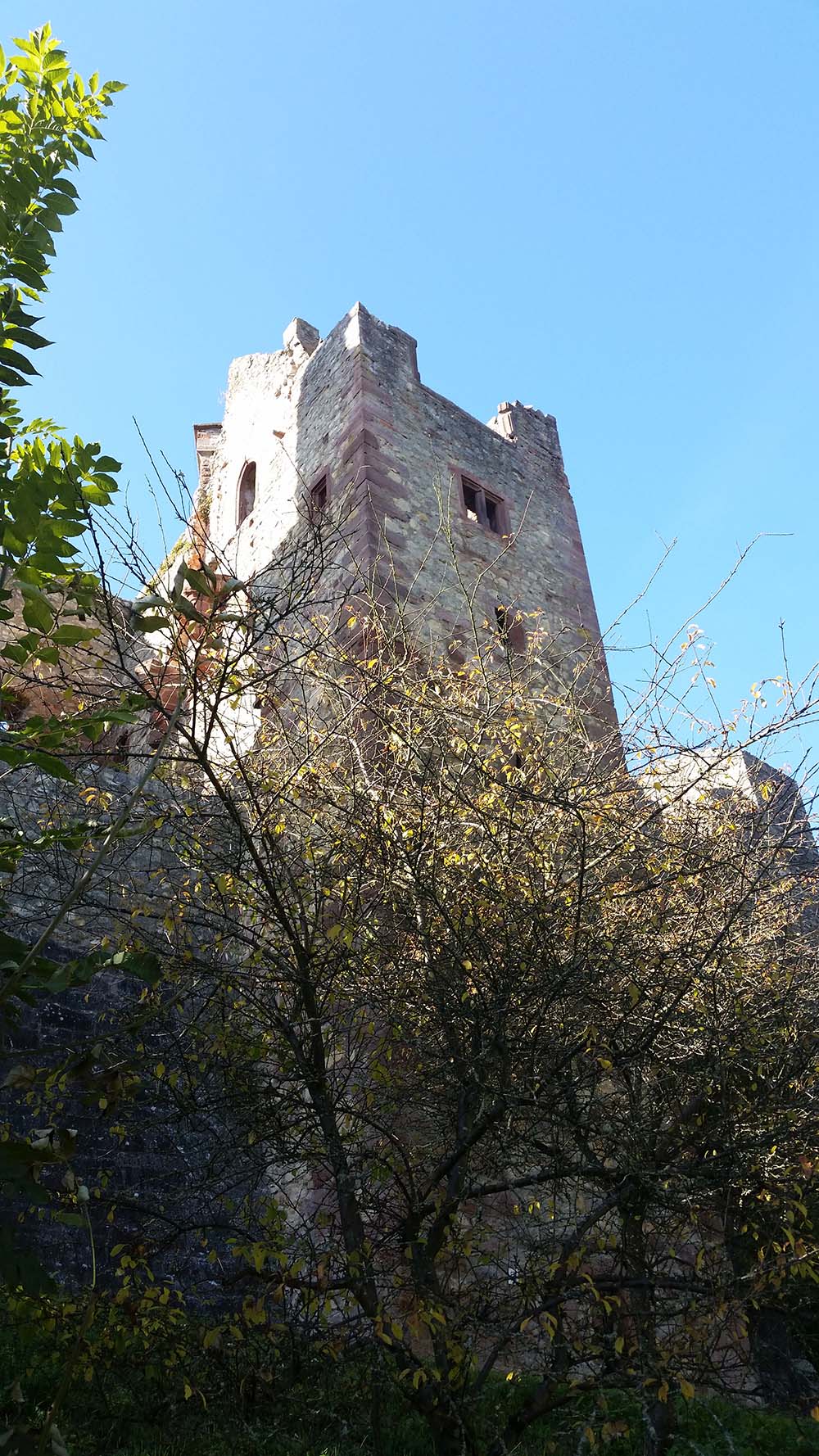 Burg Rötteln www.die4hartwigs.de