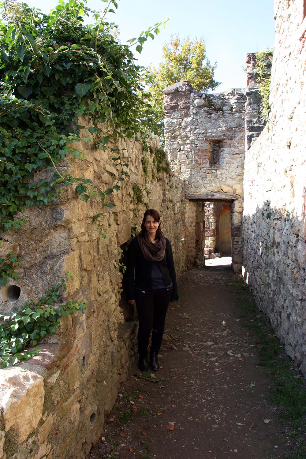 Burg Rötteln www.die4hartwigs.de