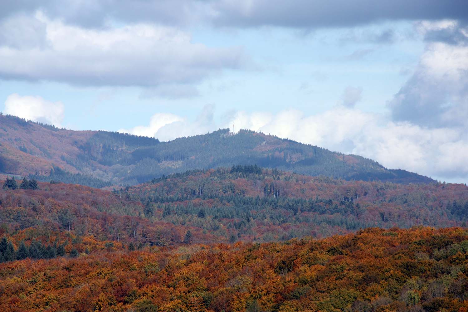 Burg Rötteln www.die4hartwigs.de