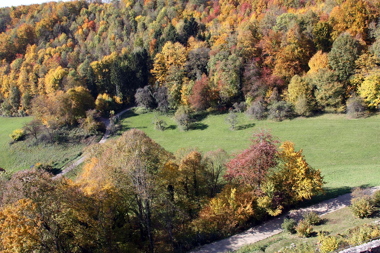 Burg Rötteln www.die4hartwigs.de