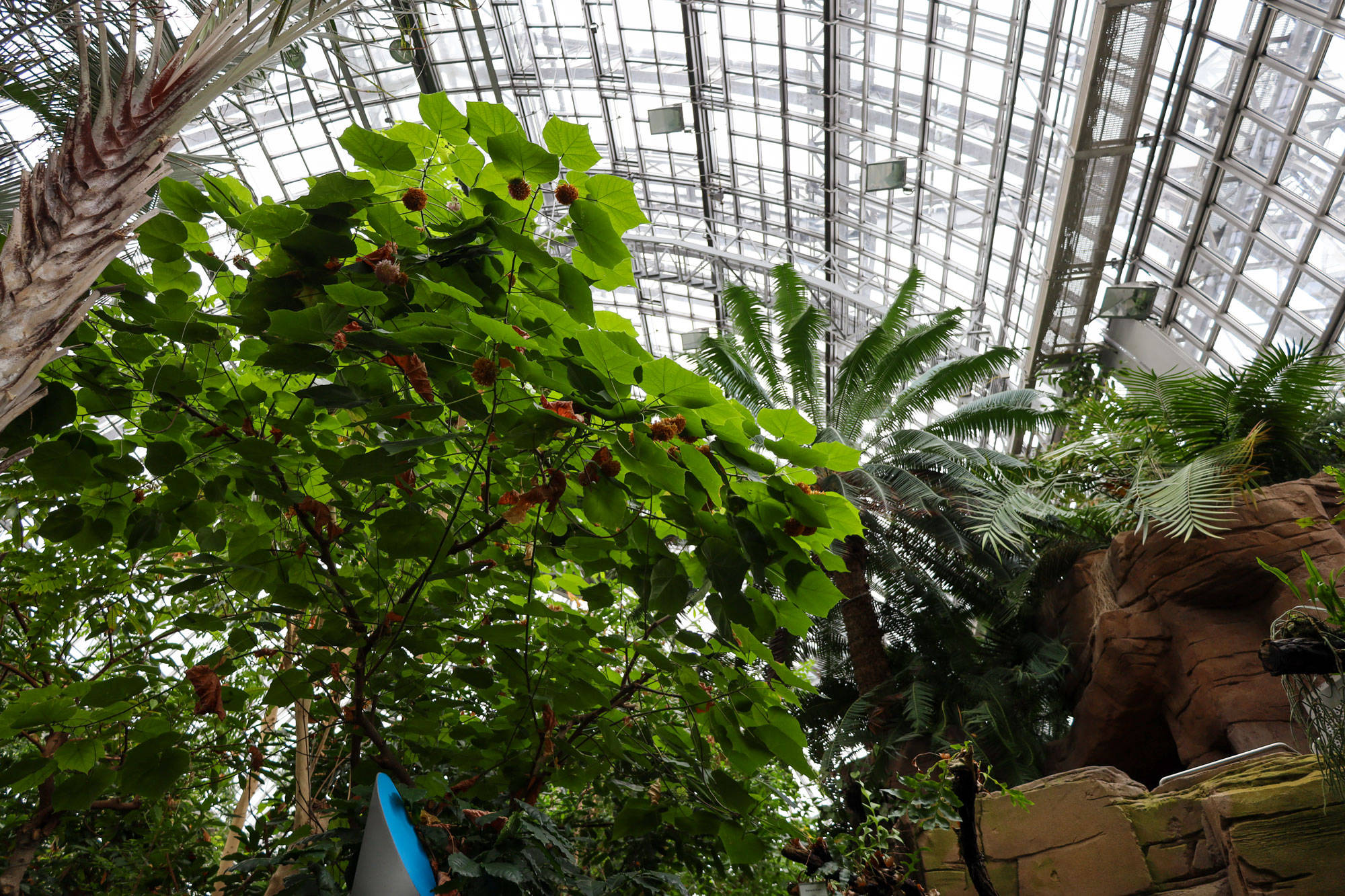 Botanischer Garten Berlin www.die4hartwigs.de