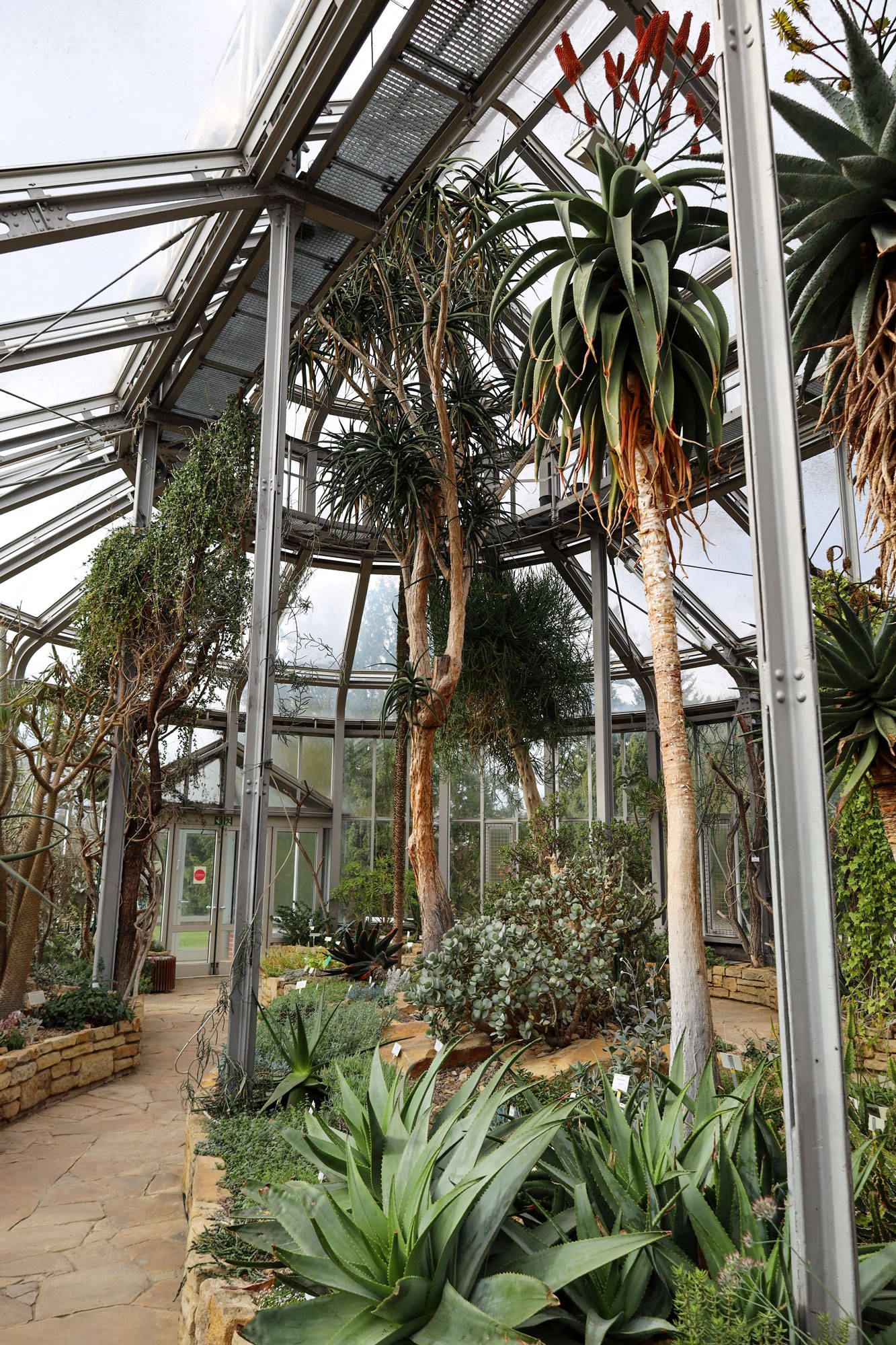 Botanischer Garten Berlin www.die4hartwigs.de