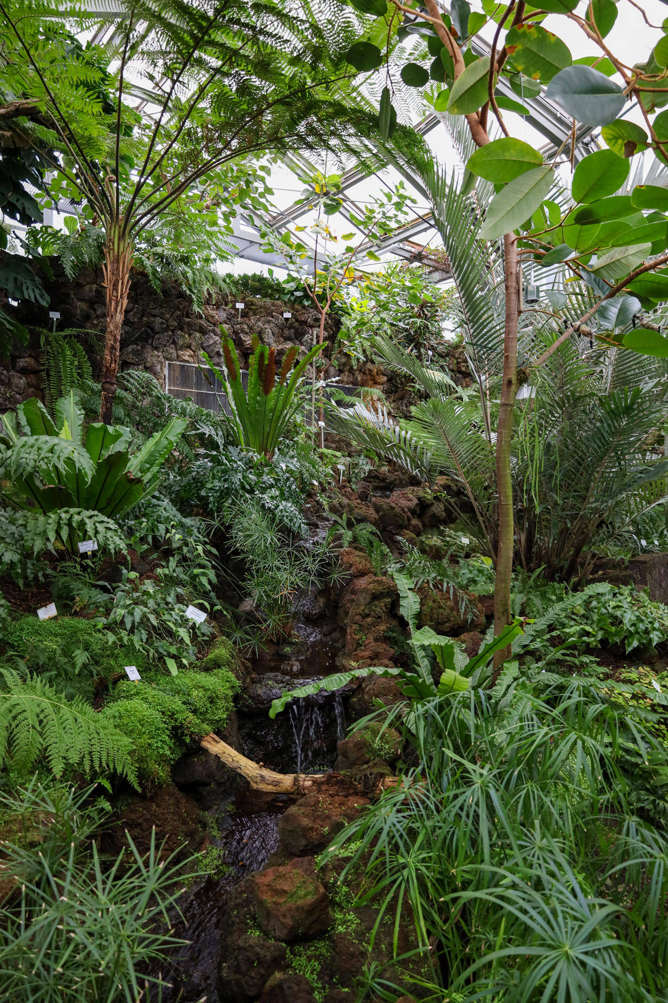 Botanischer Garten Berlin www.die4hartwigs.de