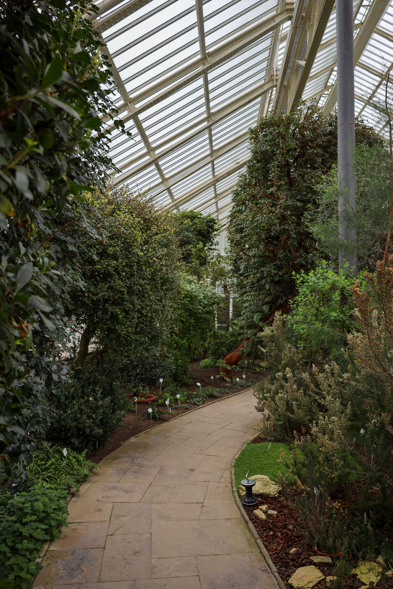 Botanischer Garten Berlin www.die4hartwigs.de