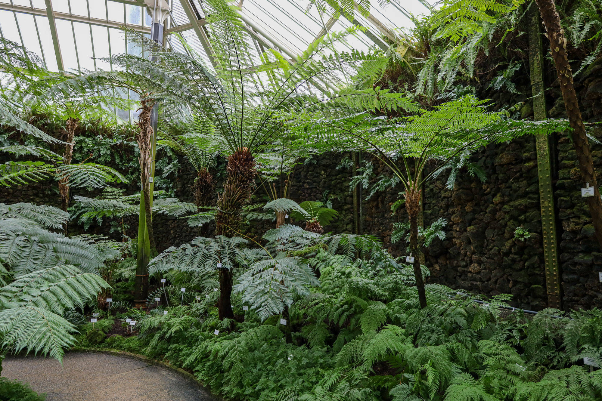 Botanischer Garten Berlin www.die4hartwigs.de