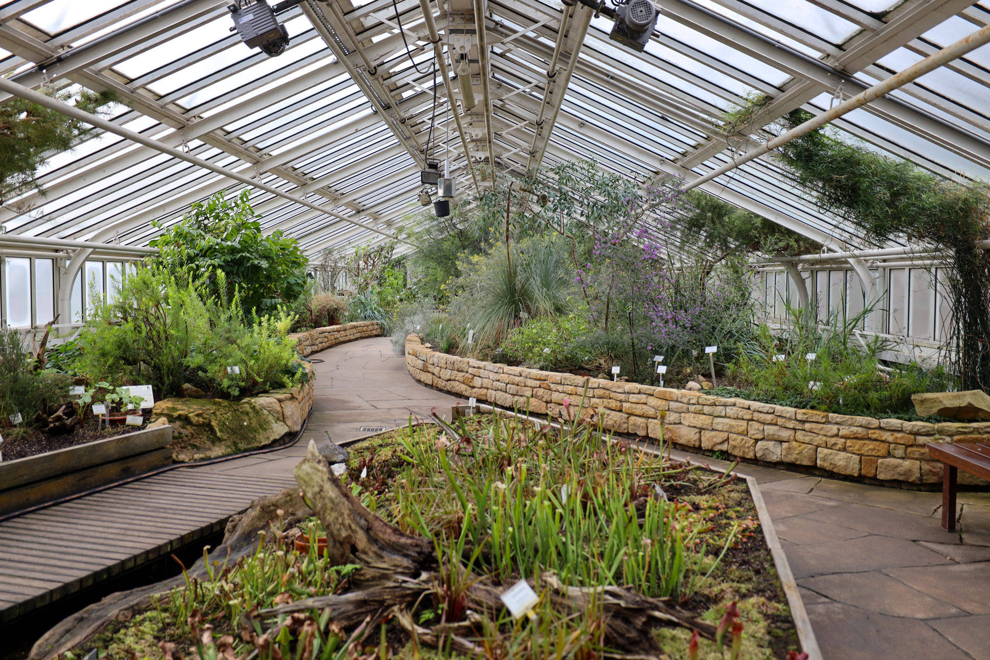 Botanischer Garten Berlin www.die4hartwigs.de