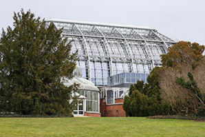 Botanischer Garten Berlin