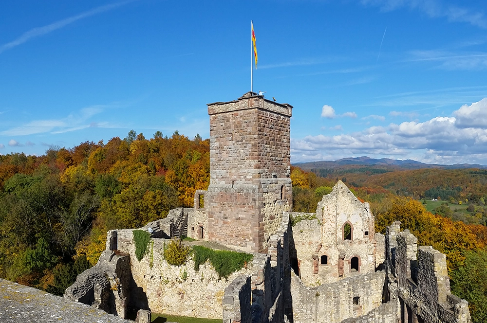 Terra Mineralia Freiberg www.die4hartwigs.de