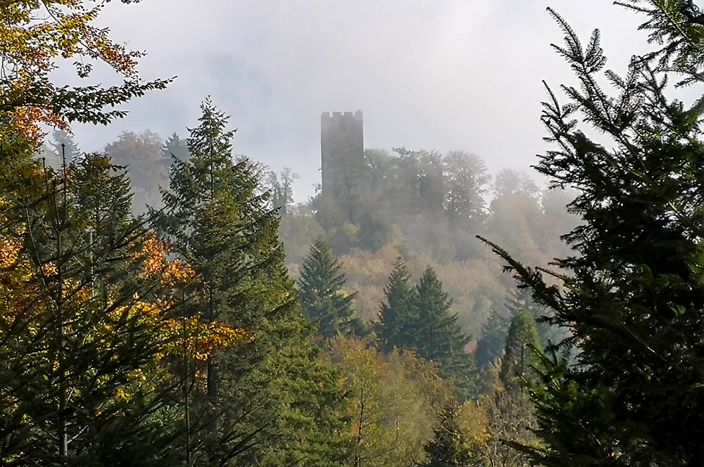 Kastelburg Waldkirch www.die4hartwigs.de