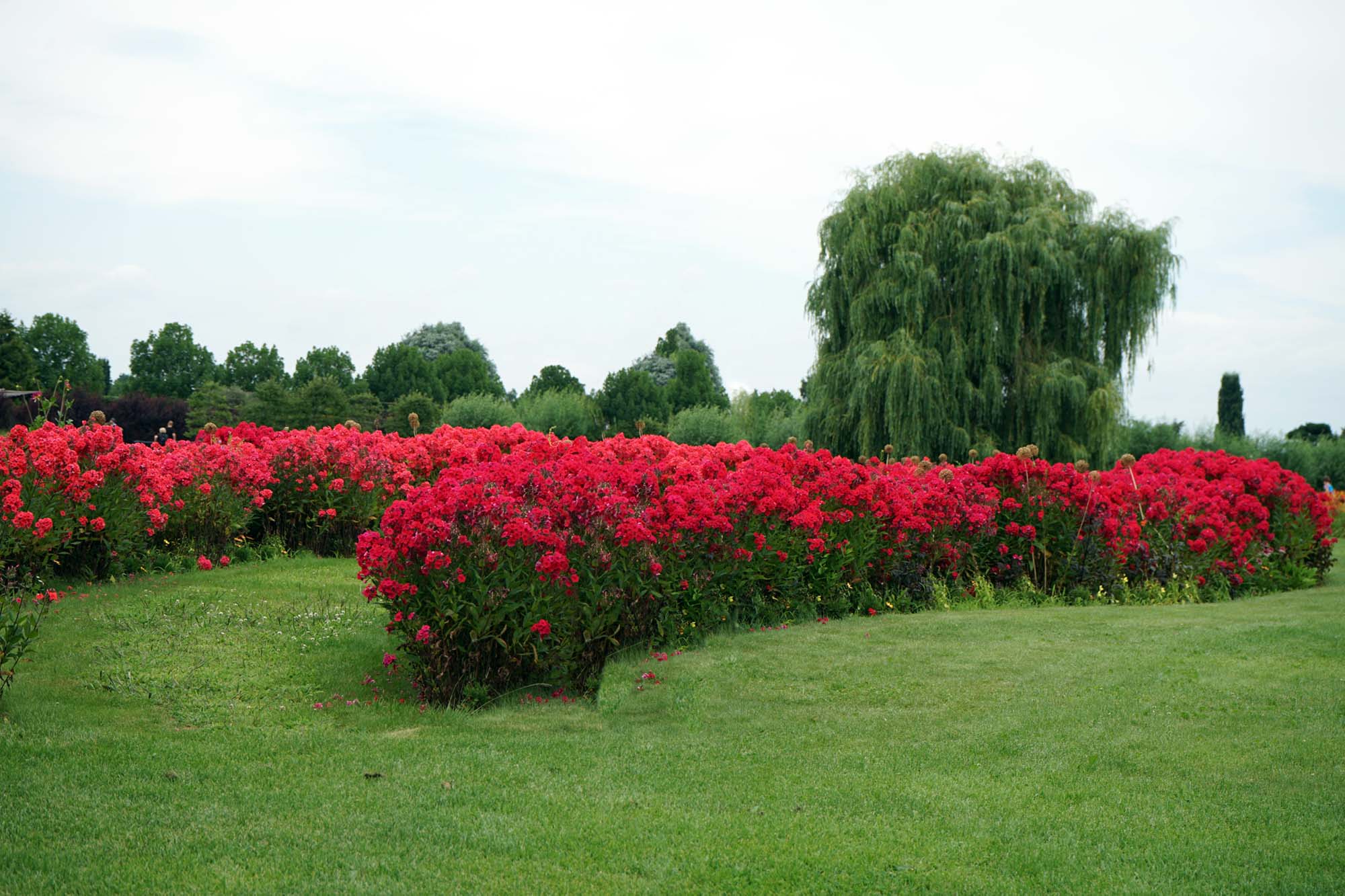 Schloss Oranienburg www.die4hartwigs.de