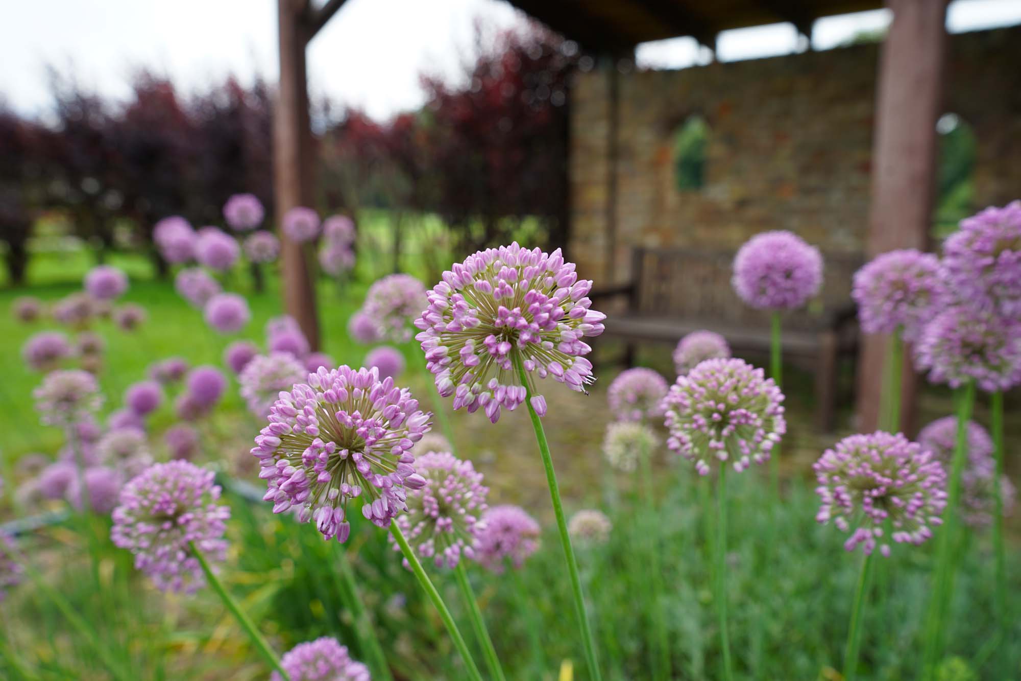 Schloss Oranienburg www.die4hartwigs.de