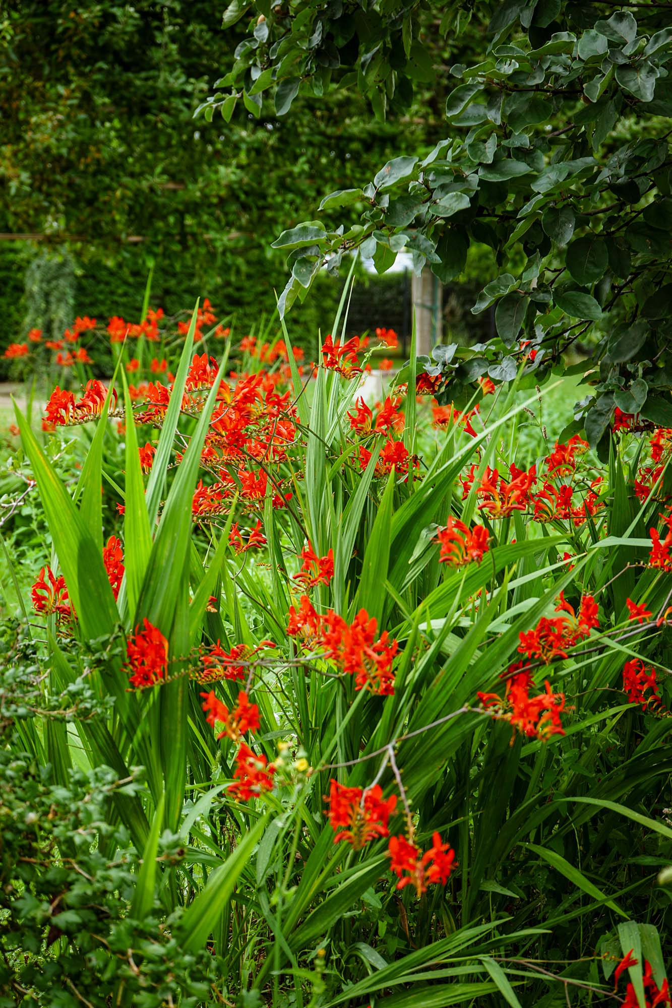 Schloss Oranienburg www.die4hartwigs.de