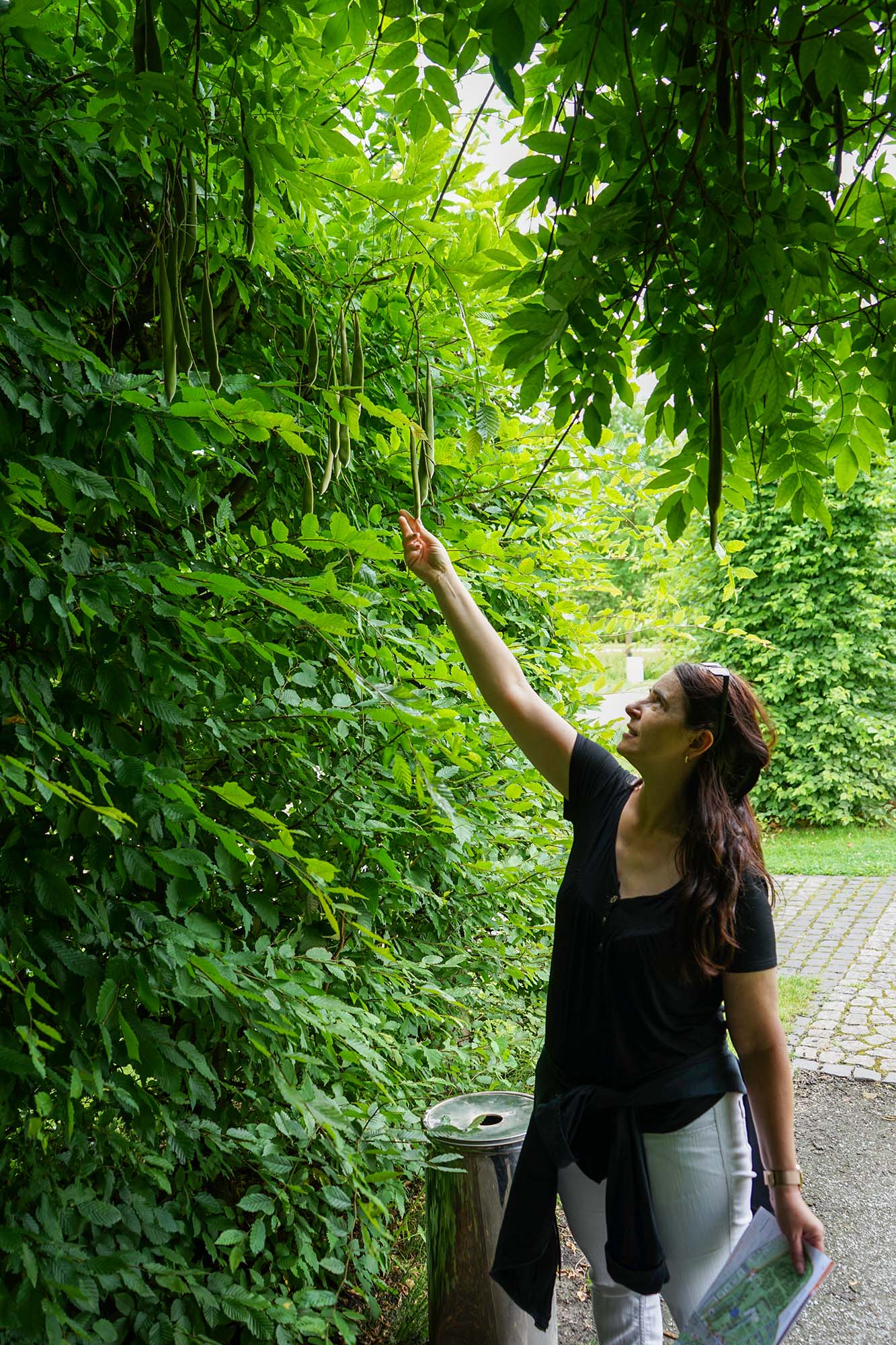 Schloss Oranienburg www.die4hartwigs.de