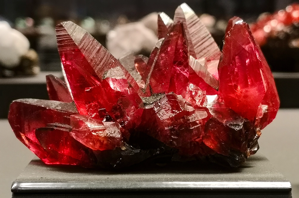 Terra Mineralia Freiberg www.die4hartwigs.de