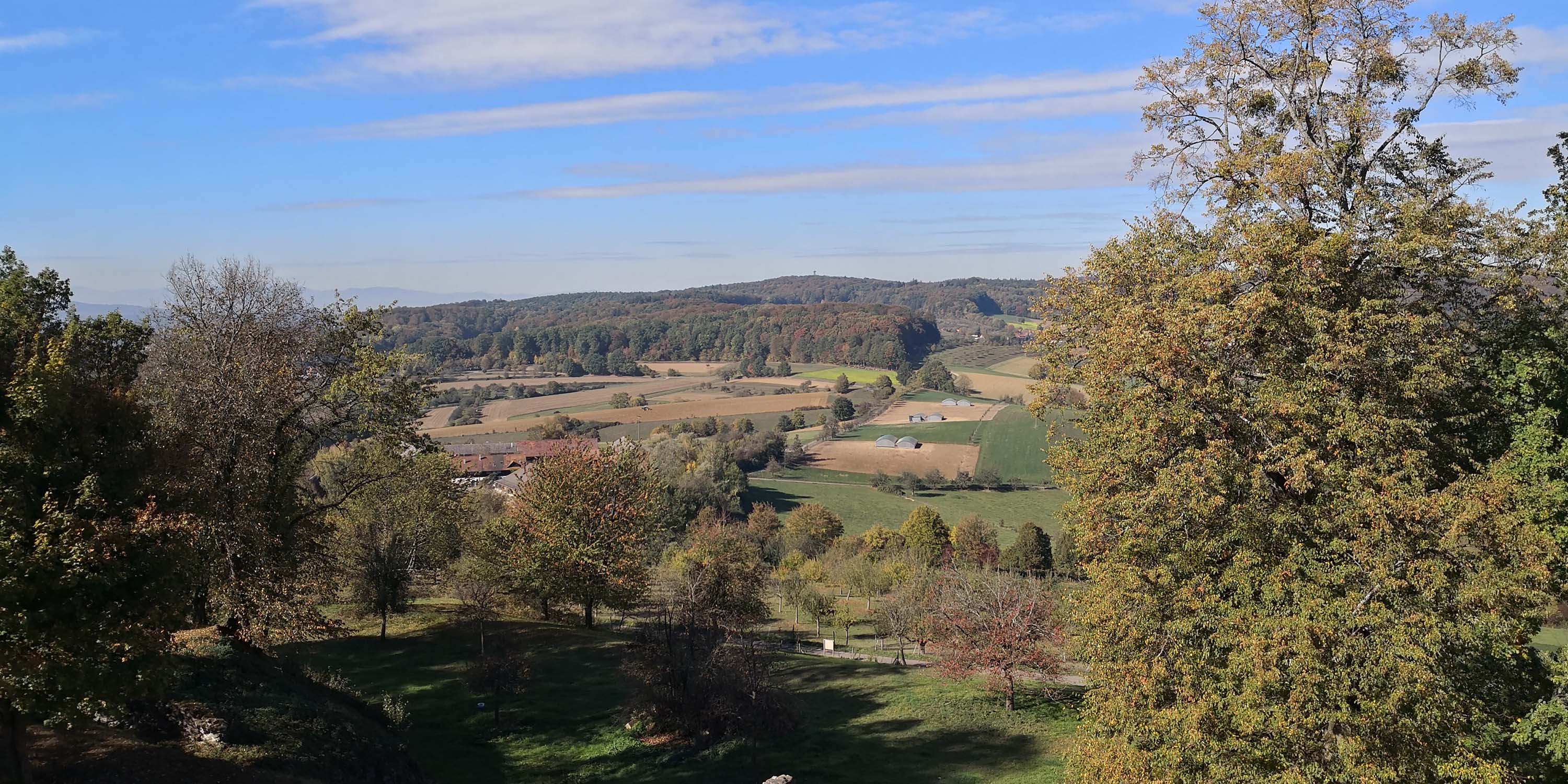 Hochburg Emmendingen www.die4hartwigs.de