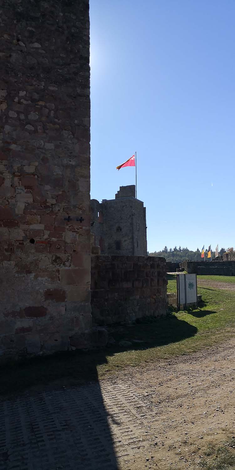 Hochburg Emmendingen www.die4hartwigs.de