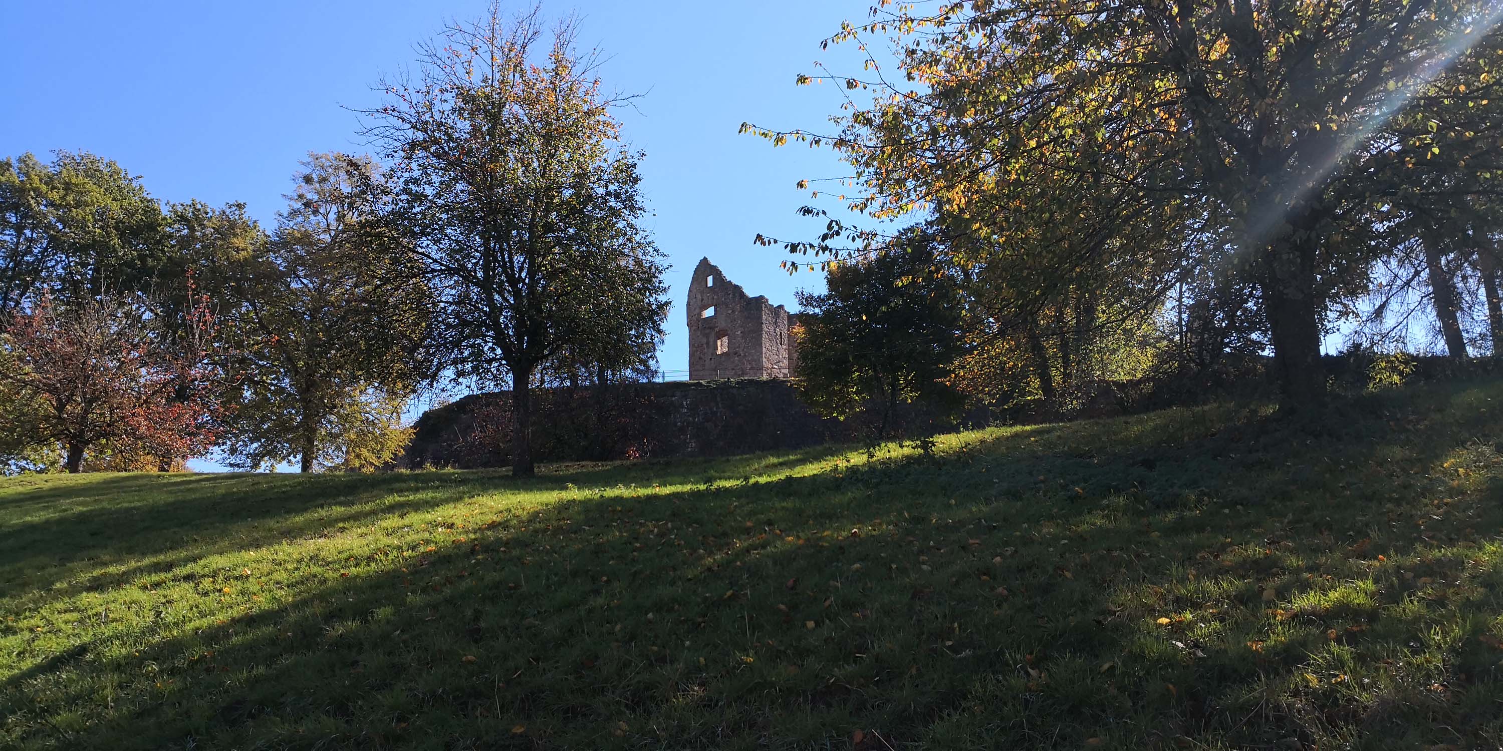 Hochburg Emmendingen www.die4hartwigs.de