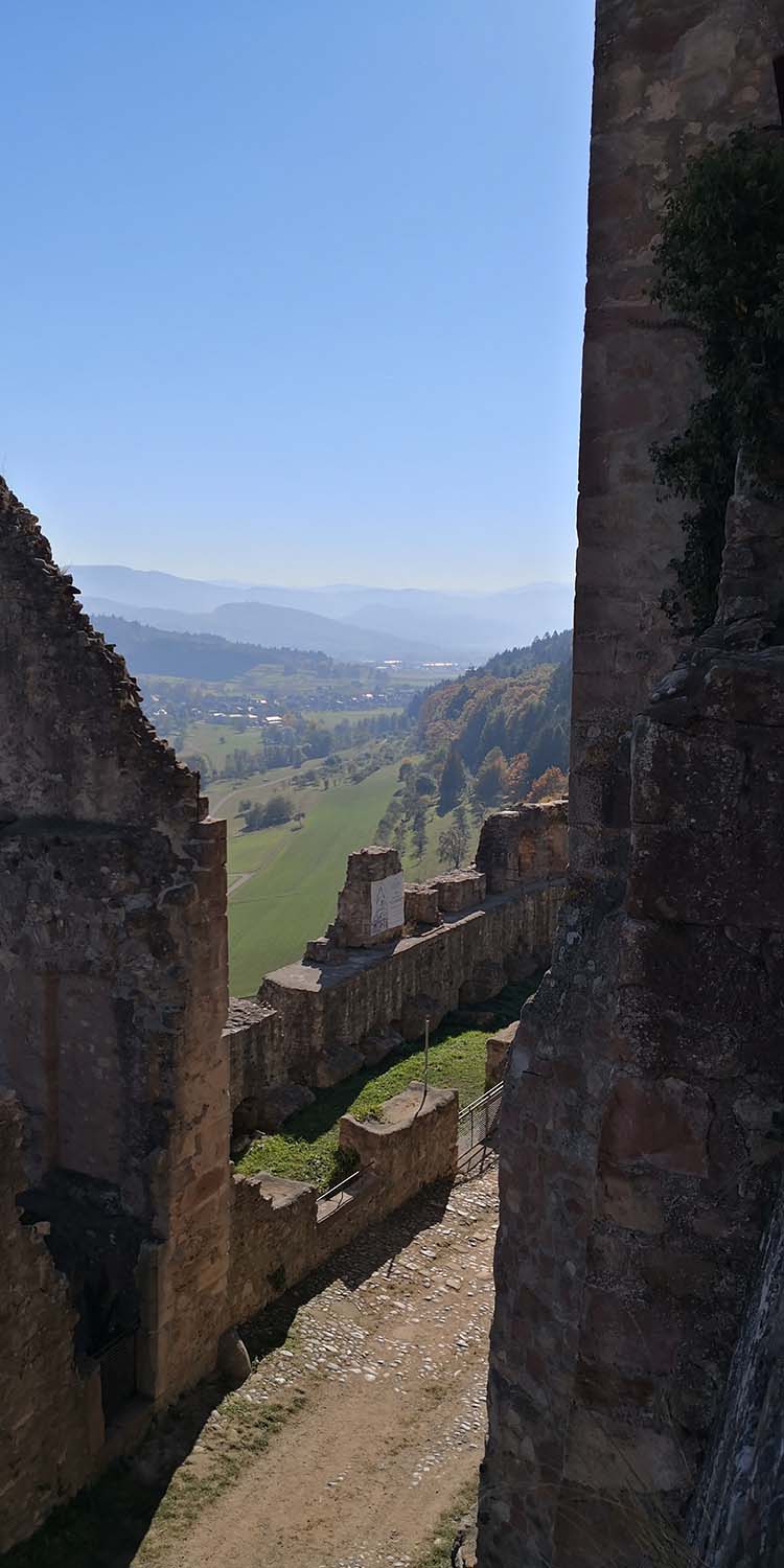 Hochburg Emmendingen www.die4hartwigs.de