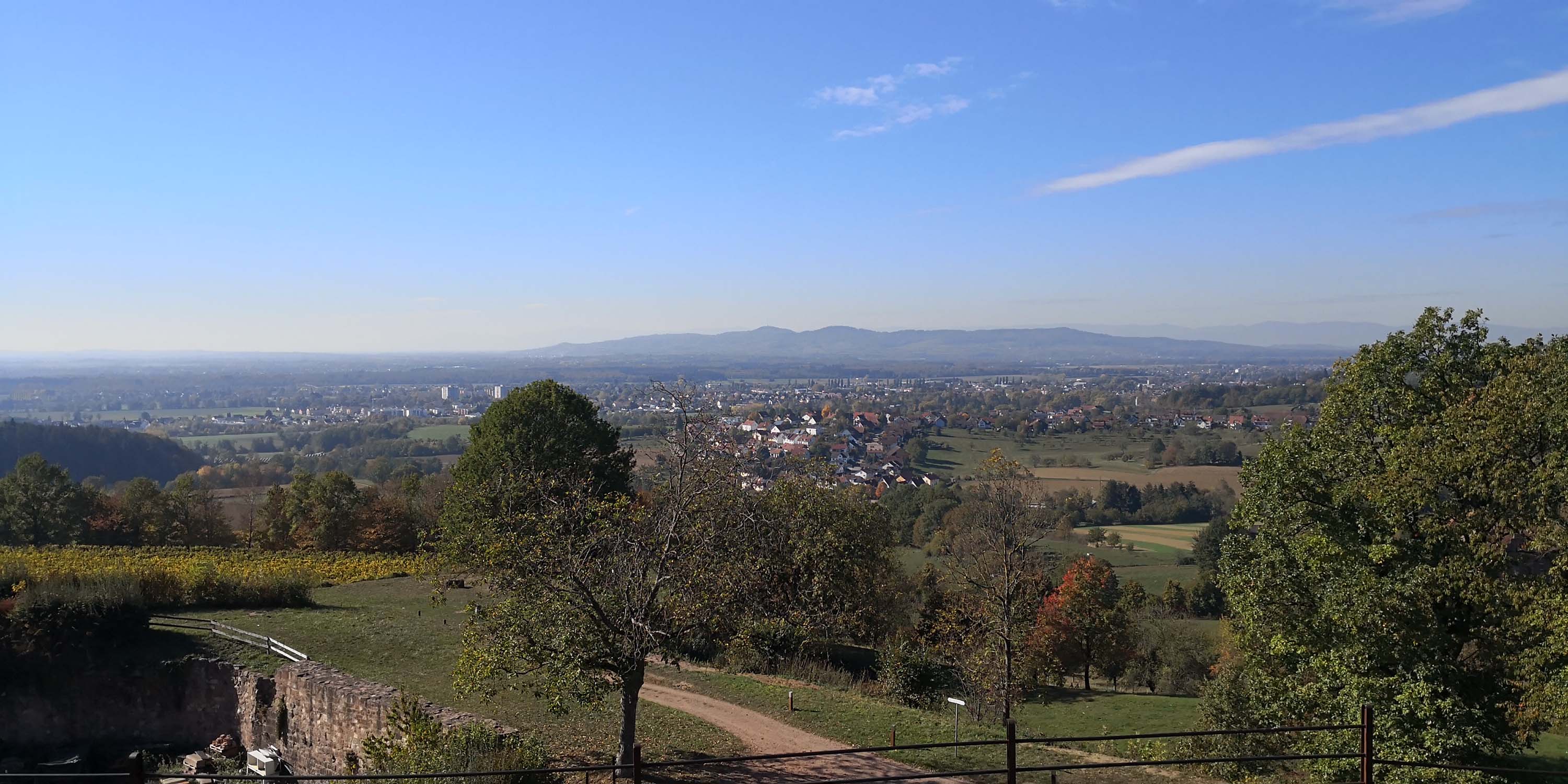 Hochburg Emmendingen www.die4hartwigs.de