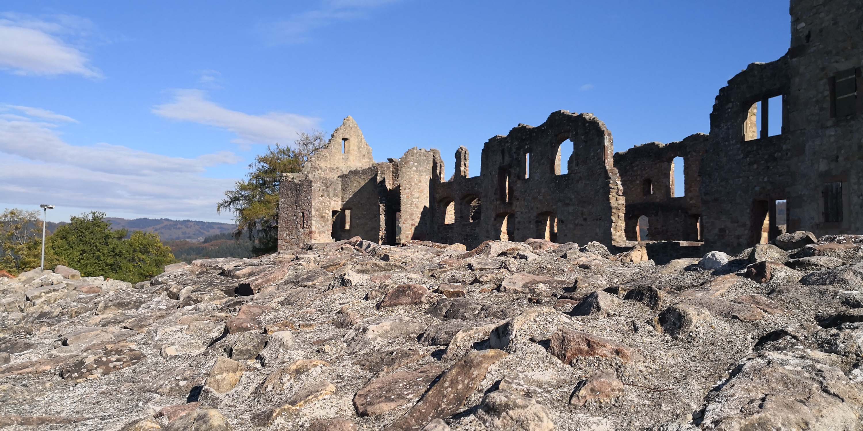 Hochburg Emmendingen www.die4hartwigs.de