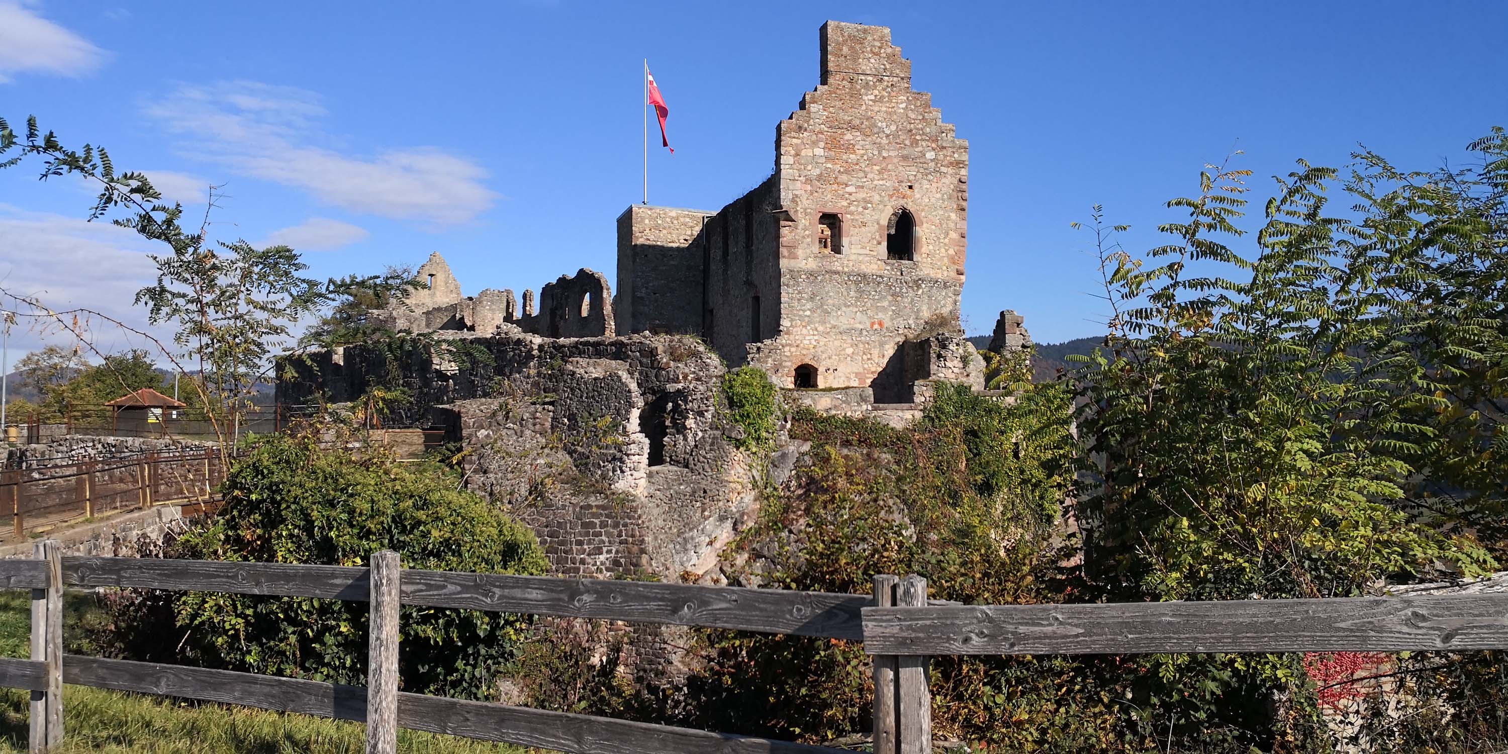 Hochburg Emmendingen www.die4hartwigs.de