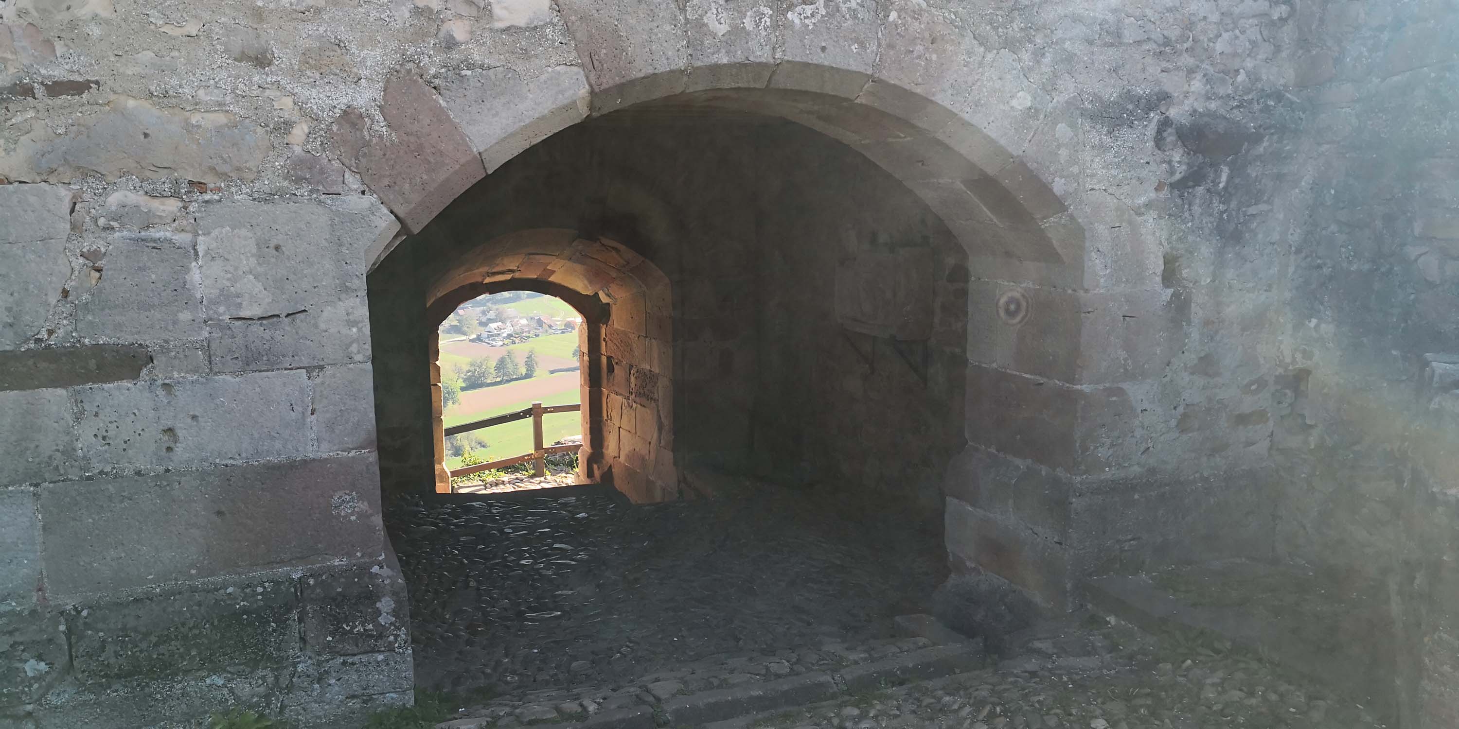 Hochburg Emmendingen www.die4hartwigs.de