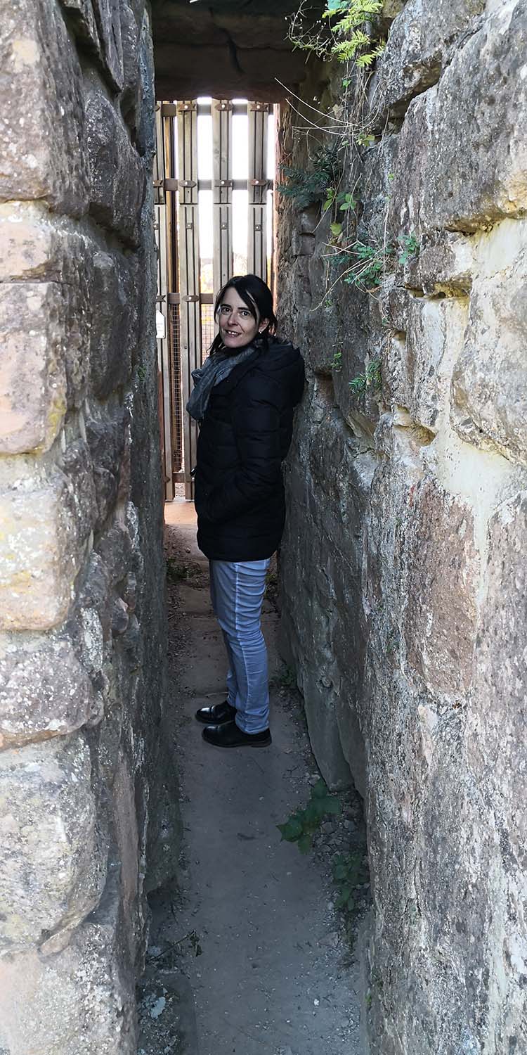 Hochburg Emmendingen www.die4hartwigs.de