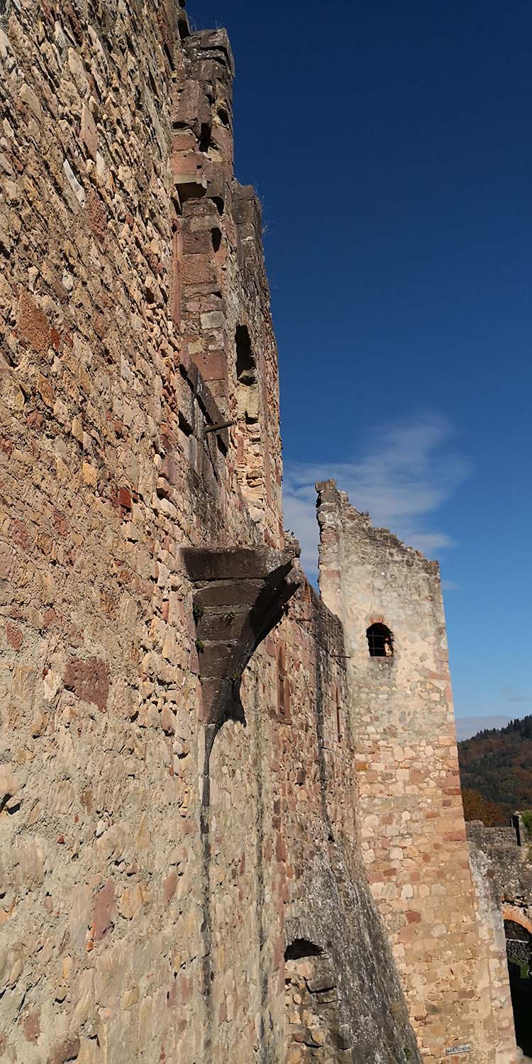 Hochburg Emmendingen www.die4hartwigs.de