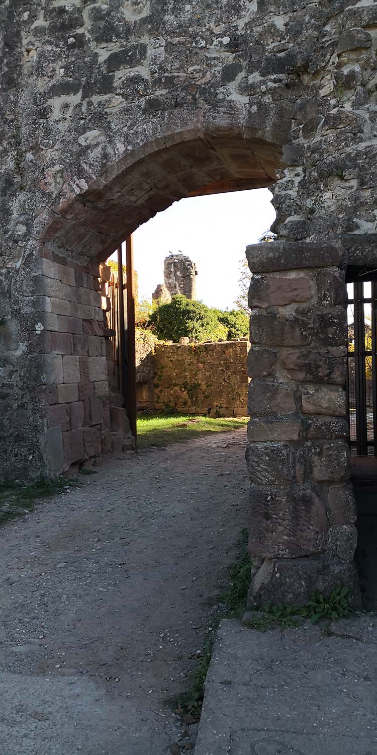 Hochburg Emmendingen www.die4hartwigs.de