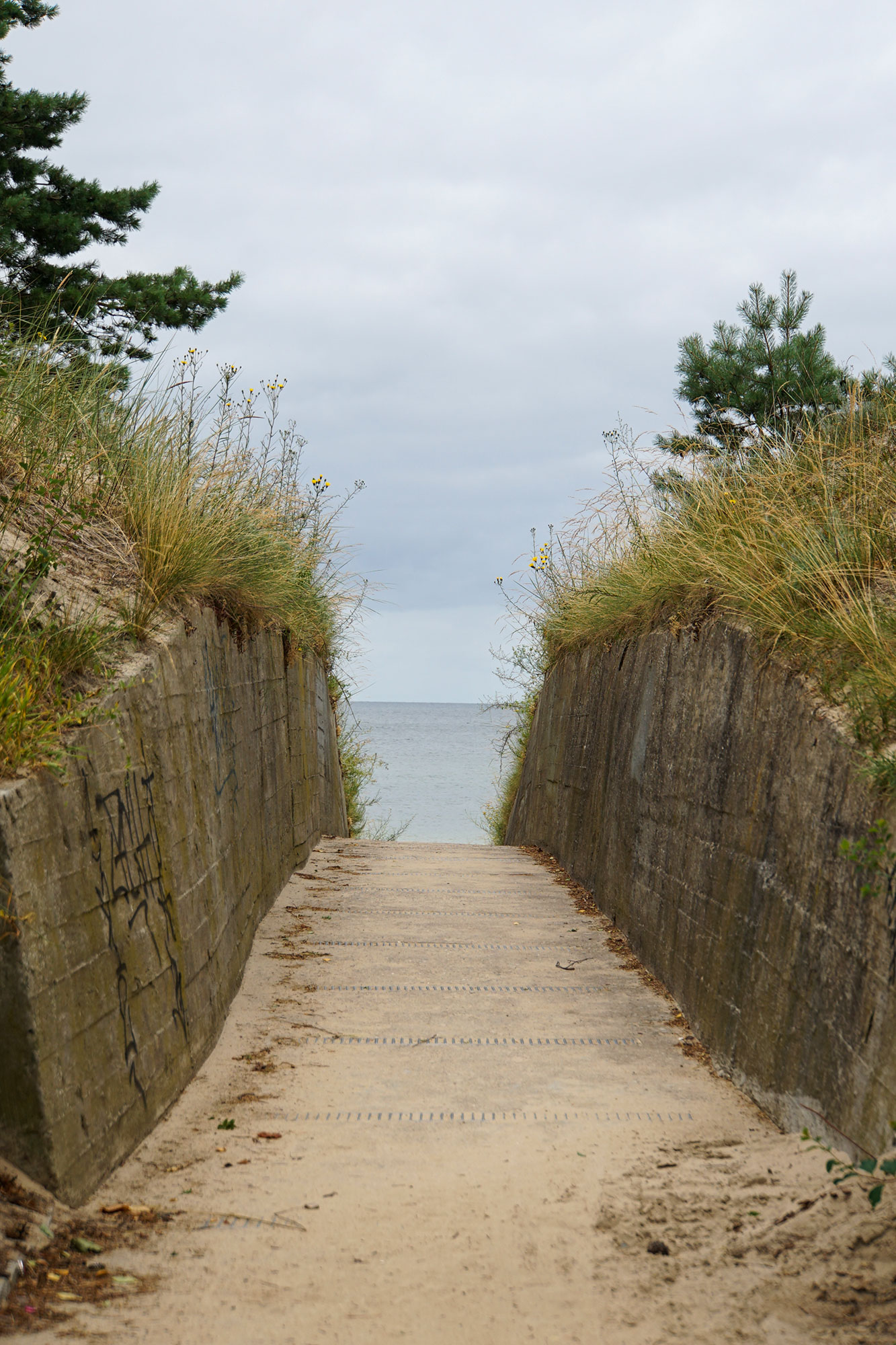 Insel Usedom www.die4hartwigs.de
