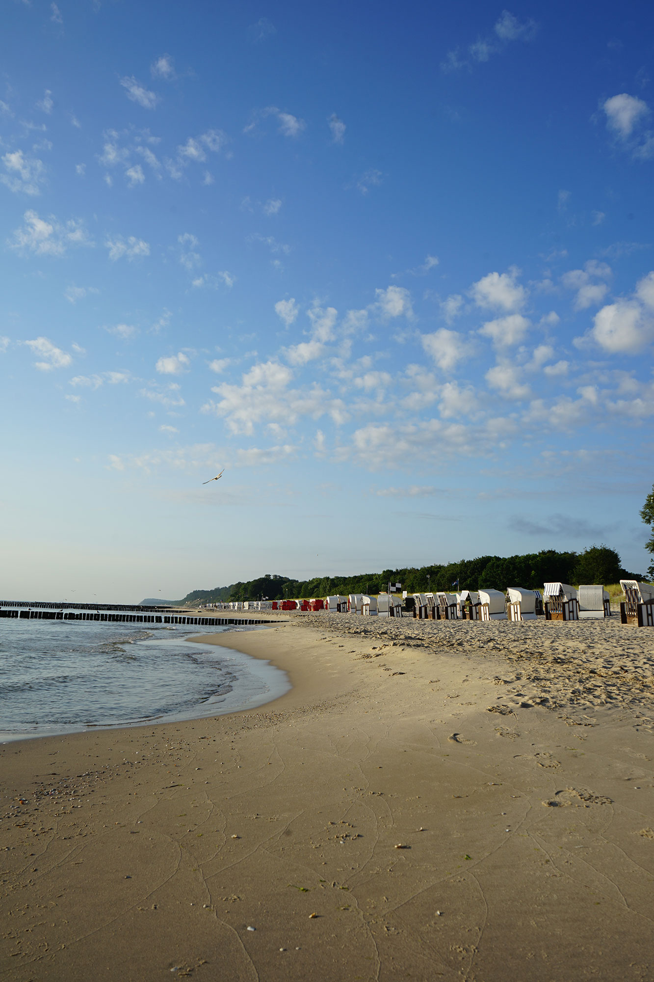 Insel Usedom www.die4hartwigs.de