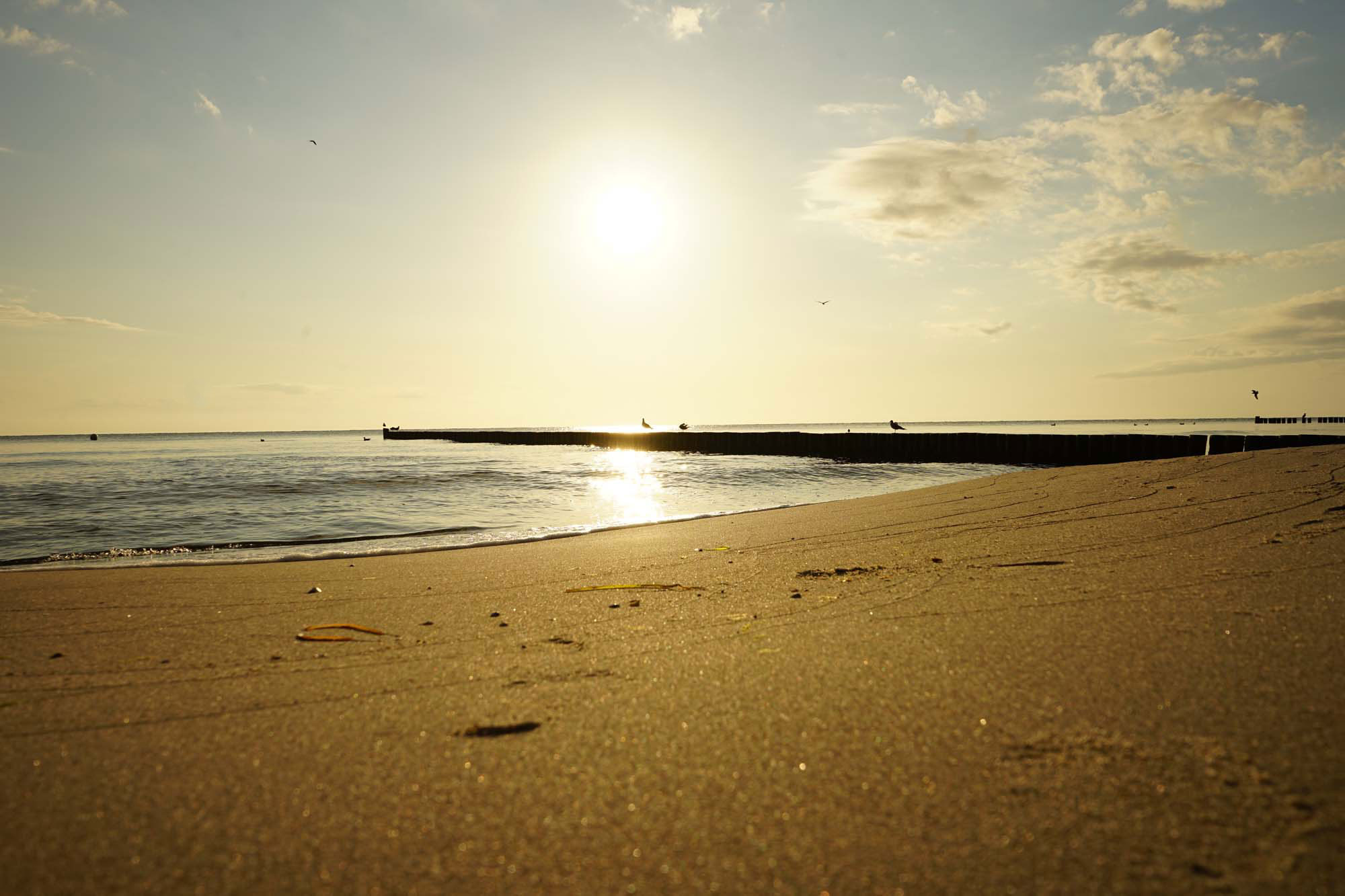 Insel Usedom www.die4hartwigs.de