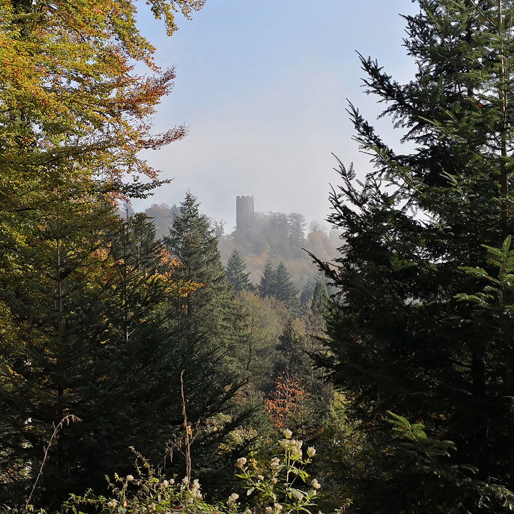 Kastelburg Waldkirch