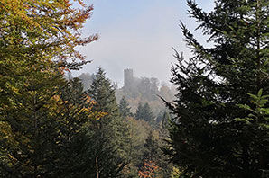 Kastelburg Waldkirch