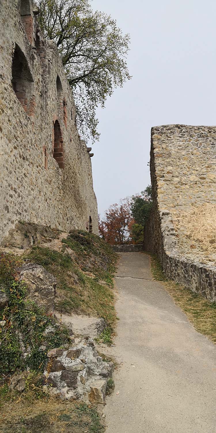 Kastelburg Waldkirch www.die4hartwigs.de