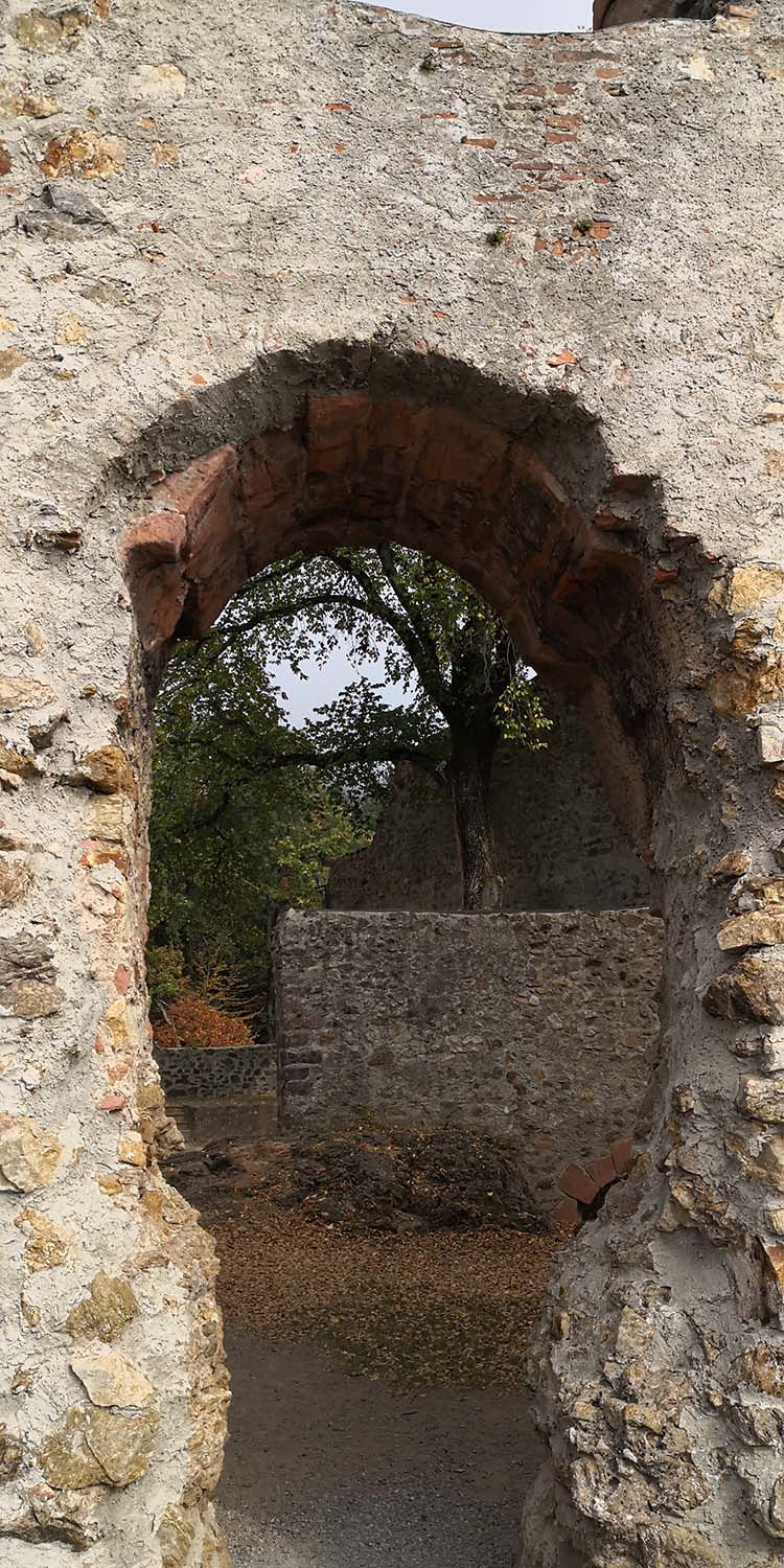 Kastelburg Waldkirch www.die4hartwigs.de