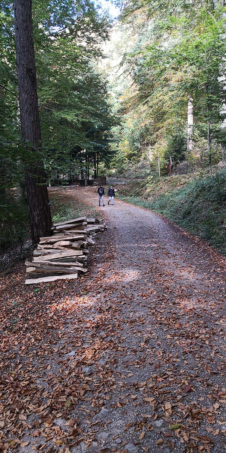Kastelburg Waldkirch www.die4hartwigs.de