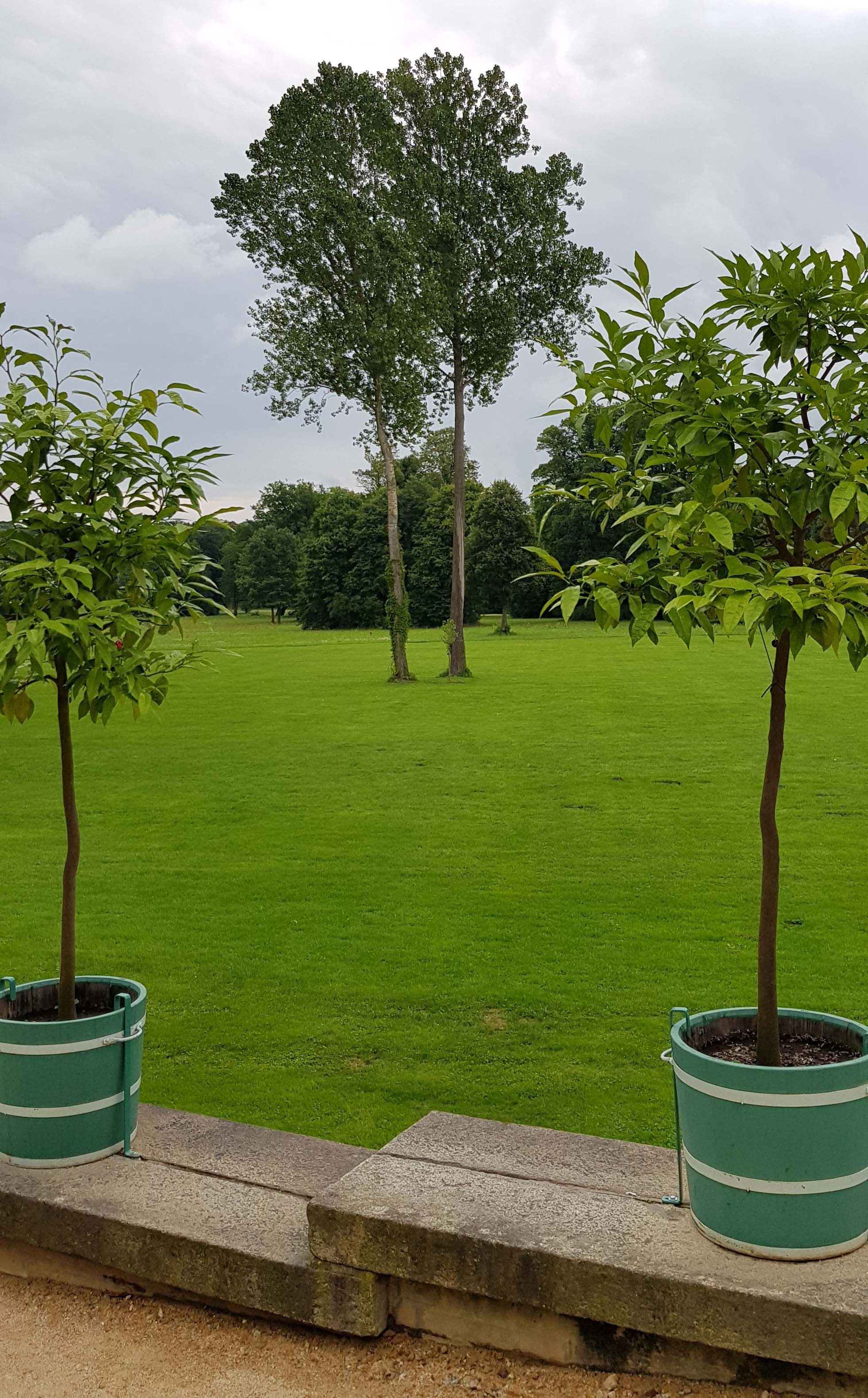 Fürst-Pückler-Park Bad Muskau www.die4hartwigs.de