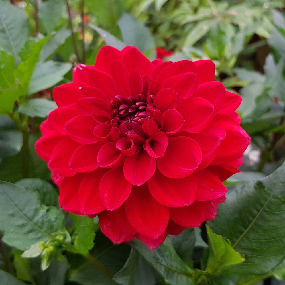 Fürst Pückler Park Bad Muskau