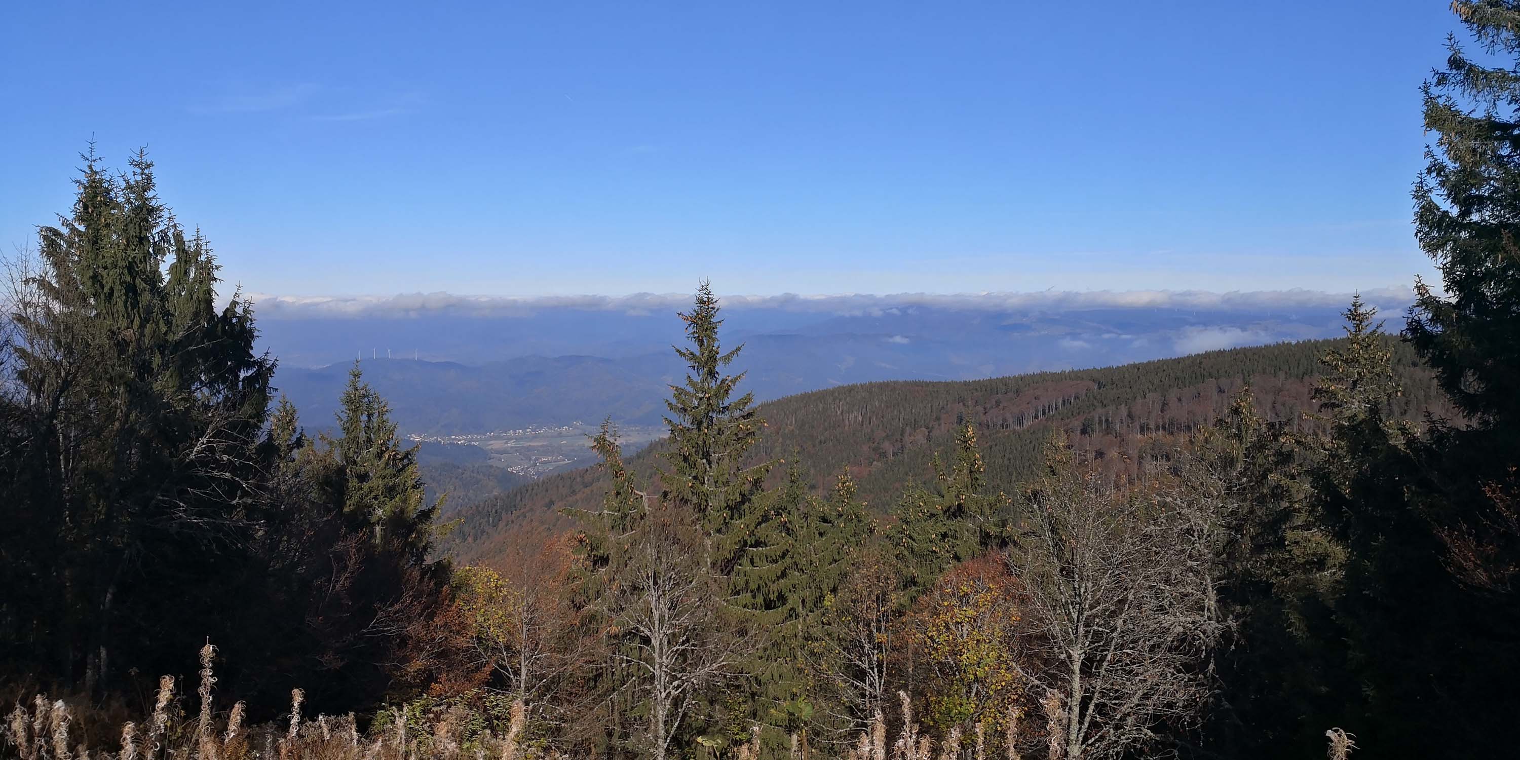 Schauinsland www.die4hartwigs.de