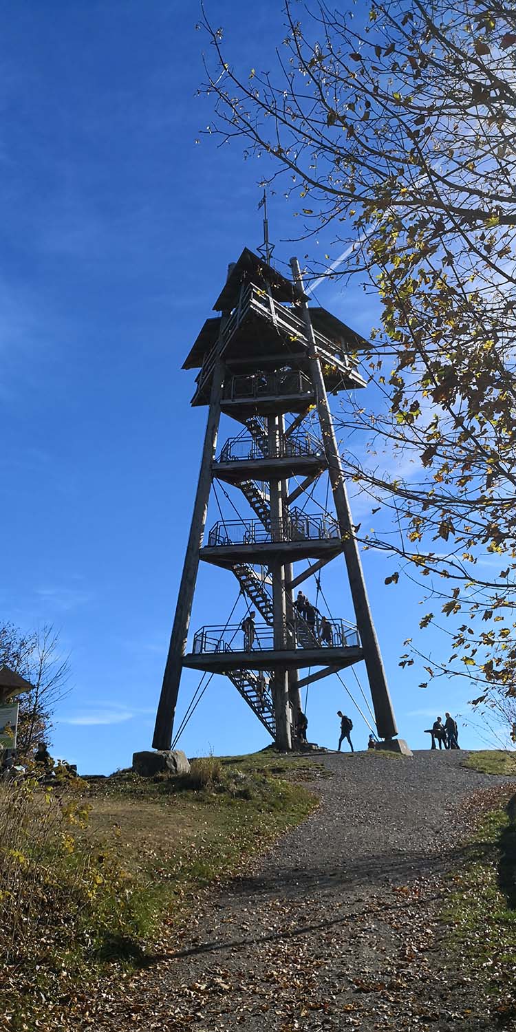 Schauinsland www.die4hartwigs.de