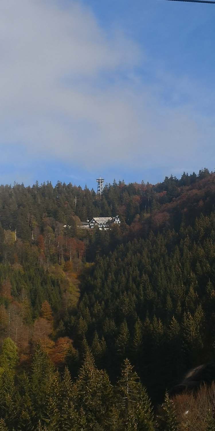 Schauinsland www.die4hartwigs.de