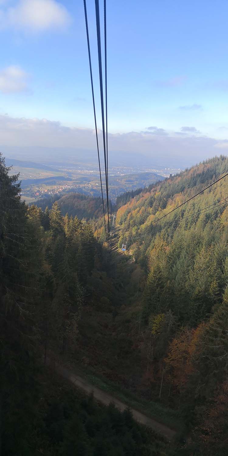 Schauinsland www.die4hartwigs.de