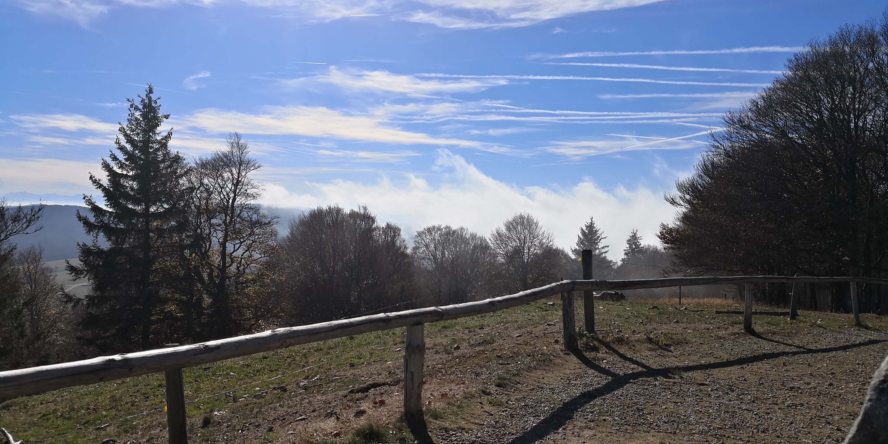 Schauinsland www.die4hartwigs.de