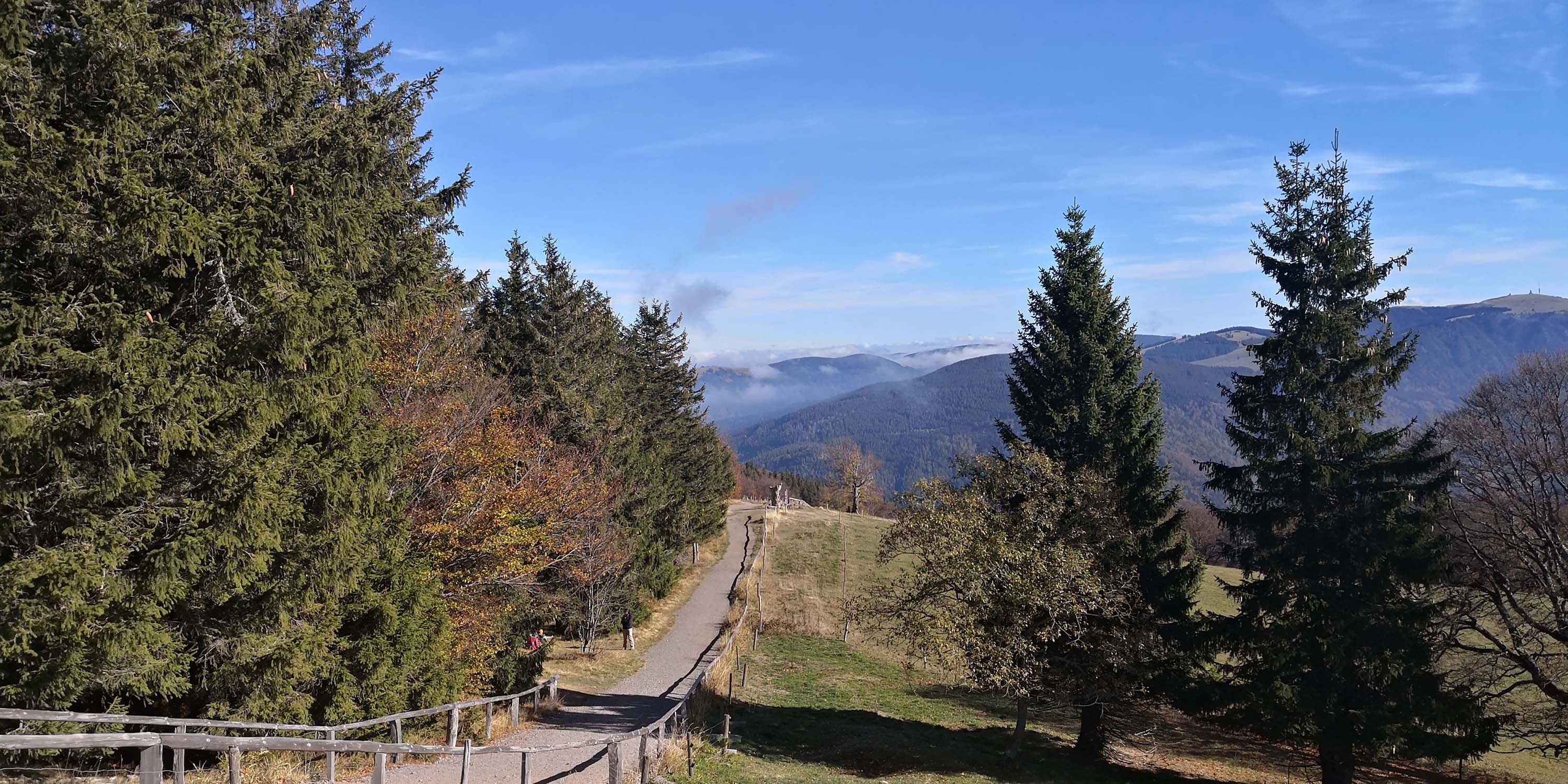 Schloss Oranienburg www.die4hartwigs.de