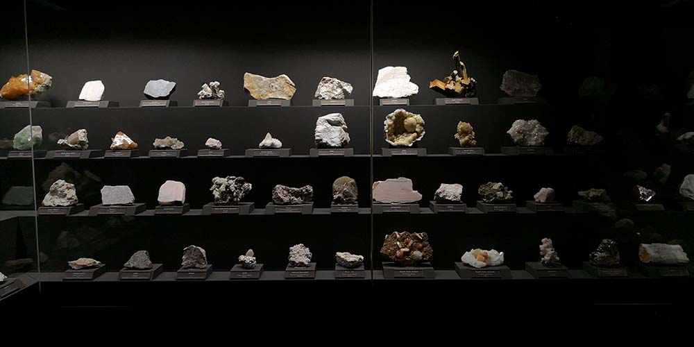 Terra Mineralia Freiberg www.die4hartwigs.de