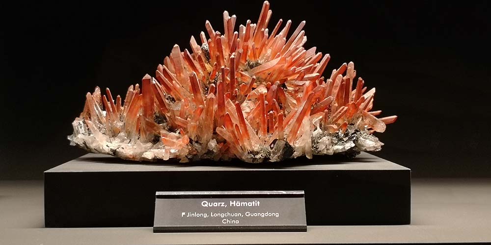 Terra Mineralia Freiberg www.die4hartwigs.de