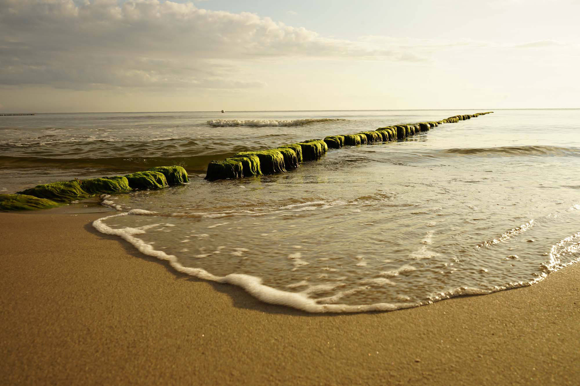 Buhnen am Strand Kölpinsee