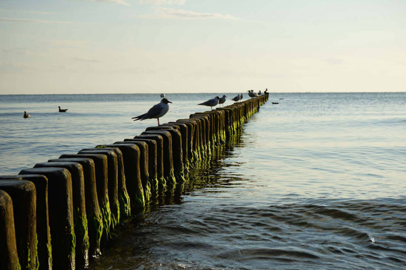 Buhnen am Strand Kölpinsee